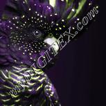 Colour:D