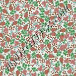 Colour:B