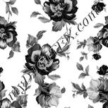 Colour:B