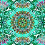 Colour:B