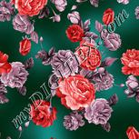 Colour:B