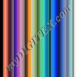 Colour:F