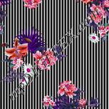 Colour:B