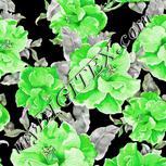 Colour:D