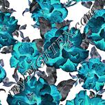 Colour:F