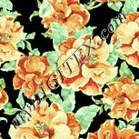 Colour:K