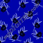 Colour:F