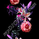 Colour:B