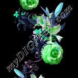 Colour:C