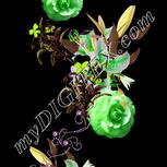 Colour:D