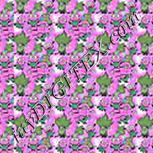 Colour:B