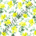 Colour:K