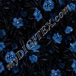 Colour:F