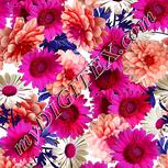 Colour:B