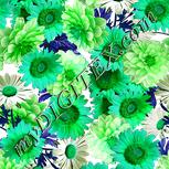 Colour:C