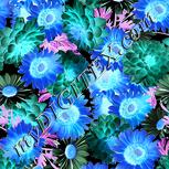Colour:F