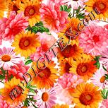 Colour:J