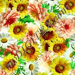 Colour:K
