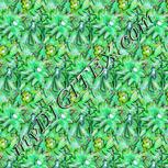 Colour:C