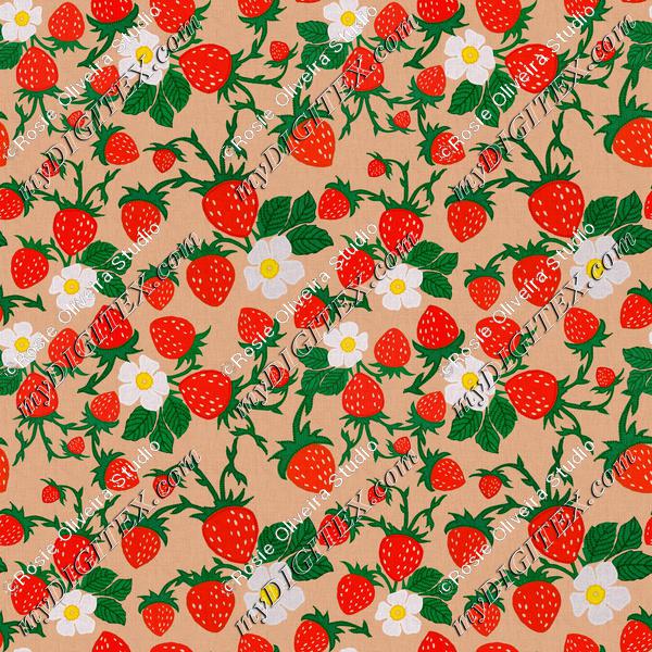 ROS032721EmbroideredStrawberriesCompositionTerracota100%