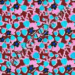 Colour:F