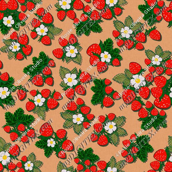 ROS033121EmbroideredStrawberrieTerracota100%