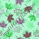 Colour:C