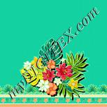 Colour:K