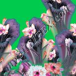 Colour:B