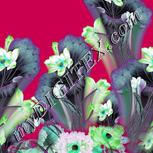 Colour:C