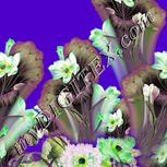 Colour:D
