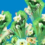 Colour:K