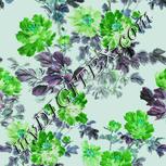 Colour:C