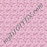 Colour:B