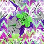 Colour:C