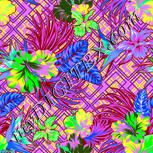 Colour:C