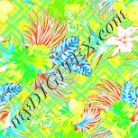 Colour:K