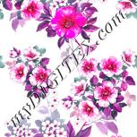Colour:B