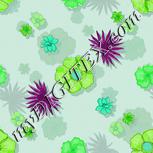 Colour:C