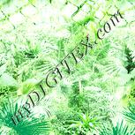 Colour:K