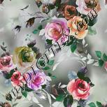 Colour:B