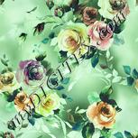 Colour:K