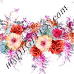 Colour:B