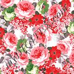 Colour:J
