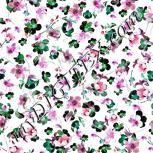 Colour:B