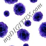 Colour:D