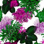 Colour:B