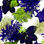 Colour:D
