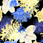 Colour:F