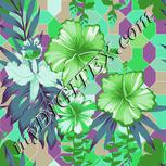 Colour:C